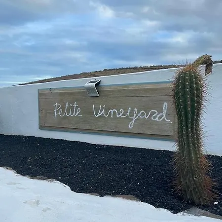 Nyaraló Finca Petite Vineyard